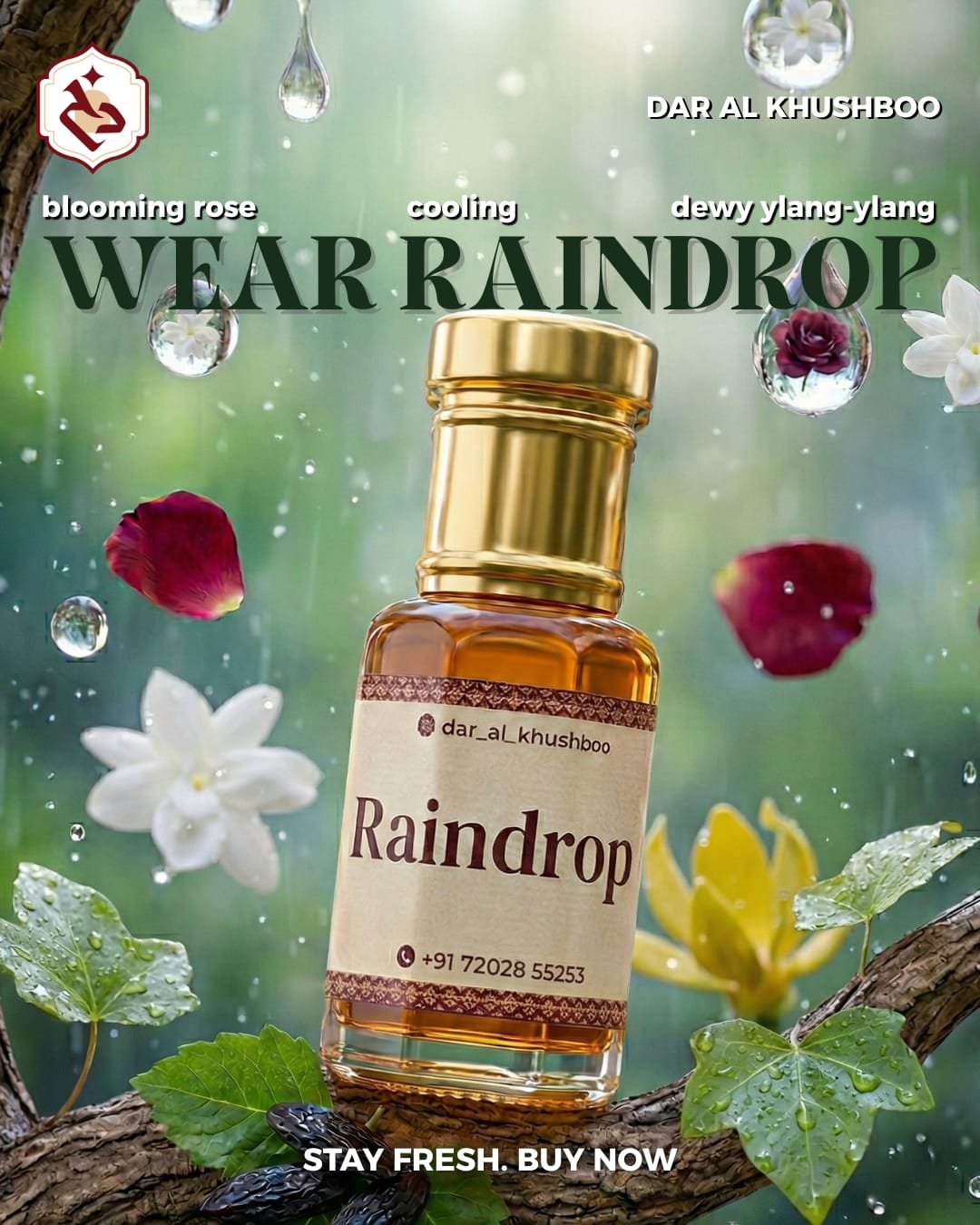 Rain Forest